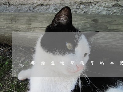 非恶意逾期还可以办贷款吗 非恶意逾期还可以办贷款吗
