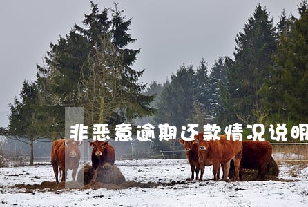 非恶意逾期还款情况说明格式