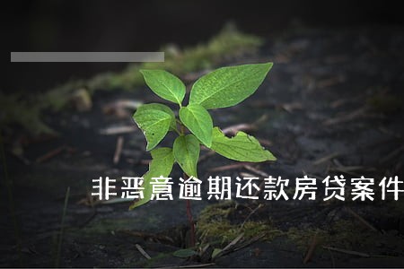 非恶意逾期还款房贷案件