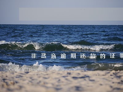 非恶意逾期还款的证明 非恶意逾期还款的证明