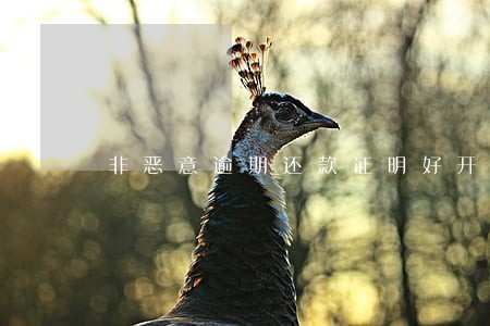 非恶意逾期还款证明好开吗 非恶意逾期还款证明好开吗