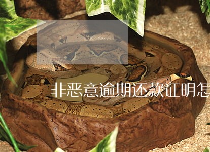 非恶意逾期还款证明怎么开 非恶意逾期还款证明怎么开