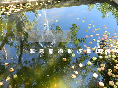 非恶意逾期还款证明样本