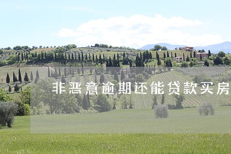 非恶意逾期还能贷款买房吗