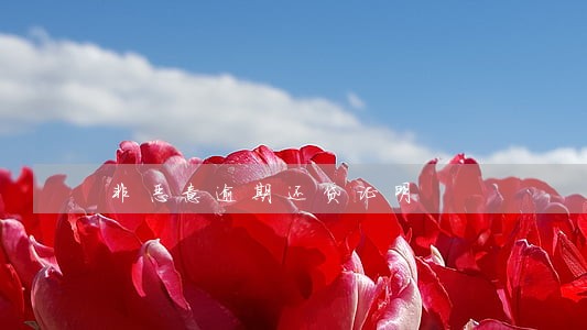 非恶意逾期还贷证明 非恶意逾期还贷证明