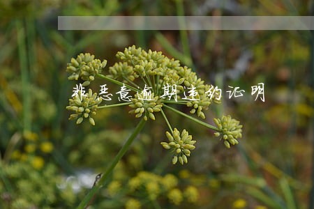 非恶意逾期违约证明 非恶意逾期违约证明