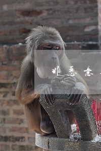 非恶意逾期追债证明怎么开 非恶意逾期追债证明怎么开