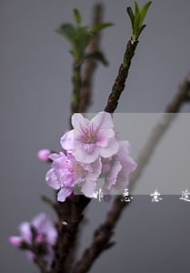 非恶意逾期需要还全款 非恶意逾期需要还全款