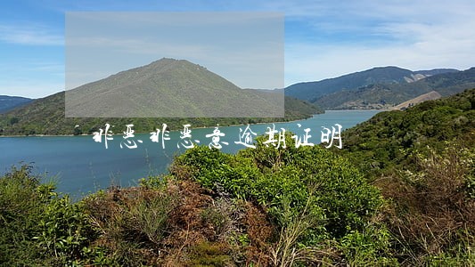 非恶非恶意逾期证明 非恶非恶意逾期证明