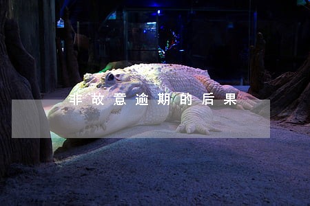 非故意逾期的后果 非故意逾期的后果