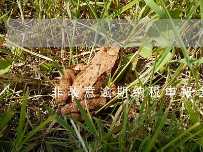 非故意逾期纳税申报会怎么样 非故意逾期纳税申报会怎么样