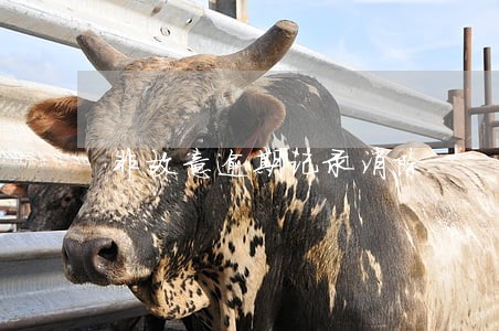 非故意逾期记录消除 非故意逾期记录消除