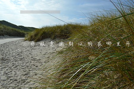 非故意逾期证明在哪里开