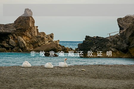 非故意逾期还款证明 非故意逾期还款证明
