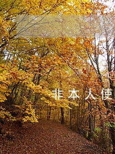 非本人使用信用卡逾期可以消除吗 非本人使用信用卡逾期可以消除吗