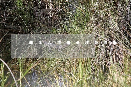 非本人信用卡还款逾期 非本人信用卡还款逾期