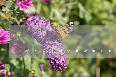 非本人小额贷款逾期怎么删除 非本人小额贷款逾期怎么删除