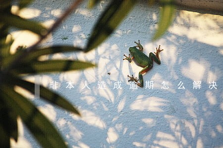 非本人造成逾期怎么解决 非本人造成逾期怎么解决