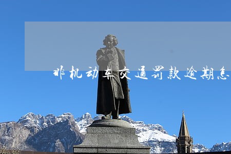 非机动车交通罚款逾期怎么办 非机动车交通罚款逾期怎么办