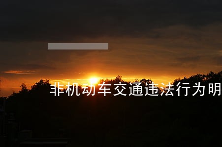 非机动车交通违法行为明显减少
