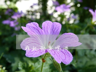 非机动车喝酒 非机动车喝酒
