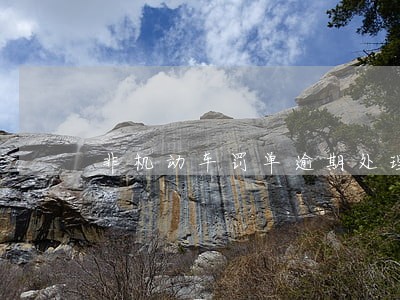非机动车罚单逾期处理后果 非机动车罚单逾期处理后果
