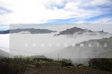 非机动车罚款逾期交了会影响吗 非机动车罚款逾期交了会影响吗