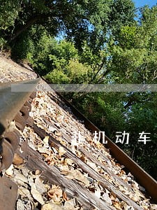 非机动车罚款逾期交多少钱 非机动车罚款逾期交多少钱