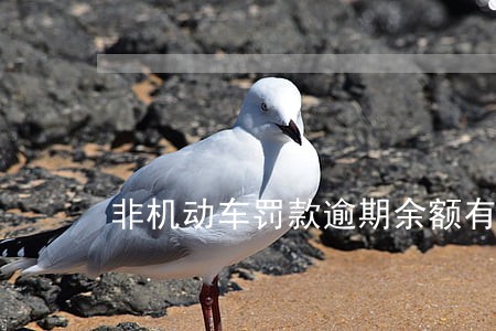 非机动车罚款逾期余额有封顶么 非机动车罚款逾期余额有封顶么
