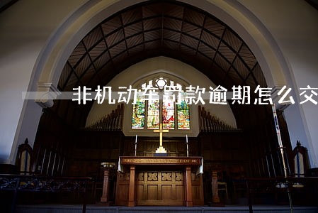 非机动车罚款逾期怎么交 非机动车罚款逾期怎么交