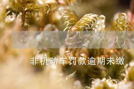 非机动车罚款逾期未缴 非机动车罚款逾期未缴