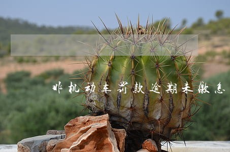 非机动车罚款逾期未缴怎么办 非机动车罚款逾期未缴怎么办