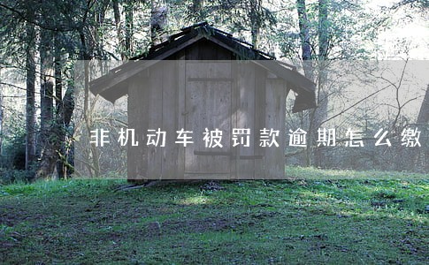 非机动车被罚款逾期怎么缴费 非机动车被罚款逾期怎么缴费