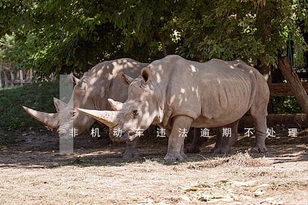 非机动车违法逾期不处理会怎样 非机动车违法逾期不处理会怎样