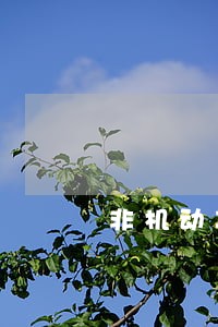 非机动车逆行违法记录可以消除吗 非机动车逆行违法记录可以消除吗