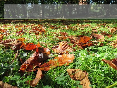 非机动车逾期5年后果 非机动车逾期5年后果