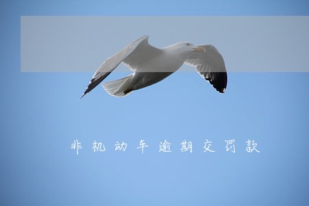 非机动车逾期交罚款 非机动车逾期交罚款