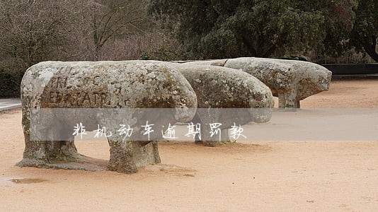 非机动车逾期罚款 非机动车逾期罚款