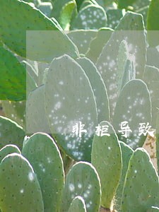 非柜导致逾期 非柜导致逾期