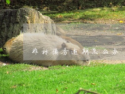 非标债务逾期怎么办 非标债务逾期怎么办