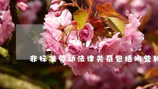 非标准劳动法律关系包括哪些种类 非标准劳动法律关系包括哪些种类