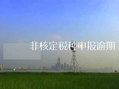 非核定税种申报逾期 非核定税种申报逾期
