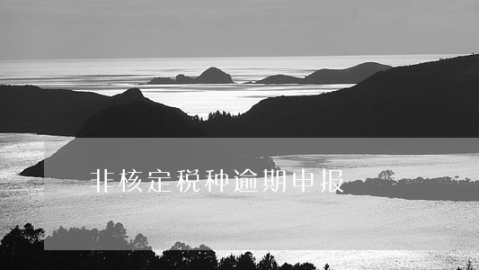 非核定税种逾期申报 非核定税种逾期申报