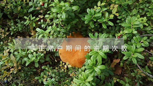 非正常户期间的逾期次数 非正常户期间的逾期次数