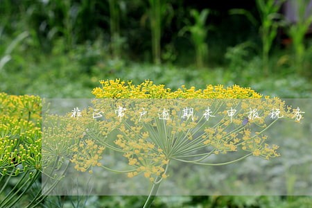非正常户逾期未申报税务有罚款吗 非正常户逾期未申报税务有罚款吗