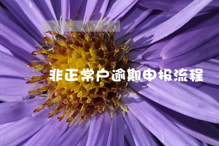 非正常户逾期申报流程 非正常户逾期申报流程