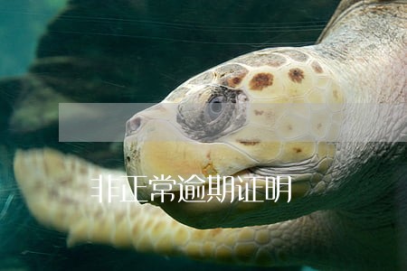 非正常逾期证明