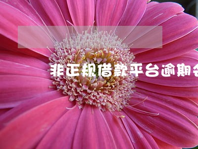 非正规借款平台逾期会上征信吗 非正规借款平台逾期会上征信吗