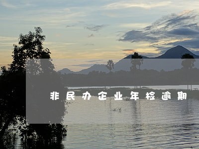 非民办企业年检逾期 非民办企业年检逾期