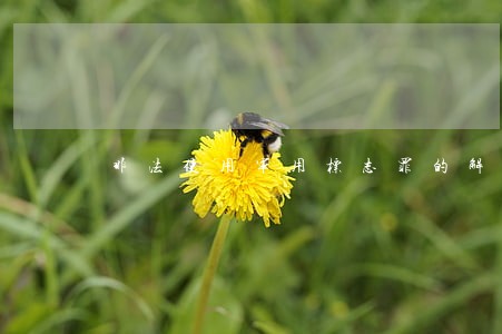 非法使用军用标志罪的解释 非法使用军用标志罪的解释